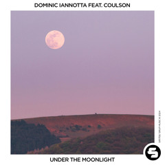 Dominic Iannotta feat. Coulson - Under the Moonlight