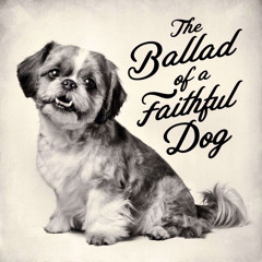 The Ballad of a Faithful Dog