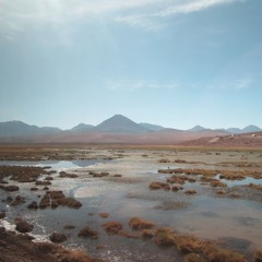 Jeg Så Dig I Sivene