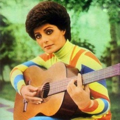 رامش؛ هنرمندی که بلیت بازگشت به وطن را نگه داشته بود