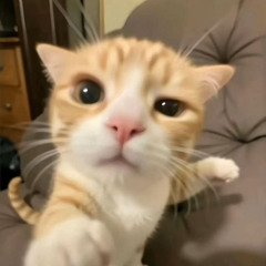 NEXTIME - ЗАЧЕМ