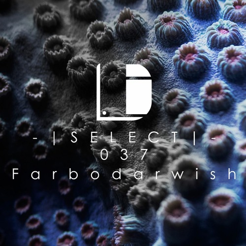 Drone Select 037 /// Farbodarwish