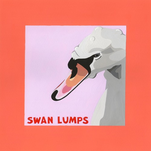 Swan Lumps