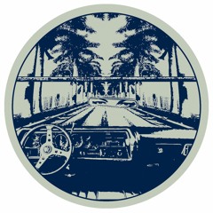 SNF040 // LUZ1E - Ridin EP