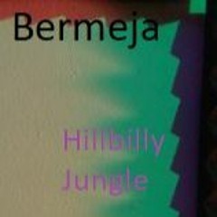 Bermeja - Hillbilly Jungle (quick mix)