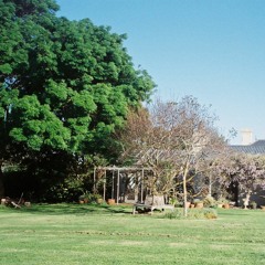 Conservatory: Ambient Exploration 14