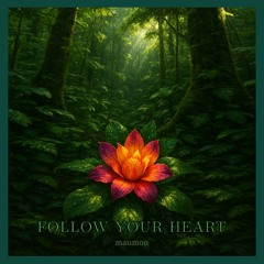 Follow Your Heart
