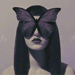 Cutterfly