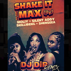 Shake It To The Max - DJ DiP Remix