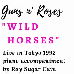 Guns'n Roses - Wild Horses Live In Tokyo 1992 | Piano Cover
