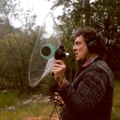 Live on International Dawn Chorus Day in Lower Arroyo Park