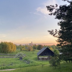 Майский сон