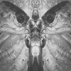 AA2024_03_Psystuff_DL