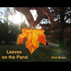 01 Leaves on the Pond ℗2020