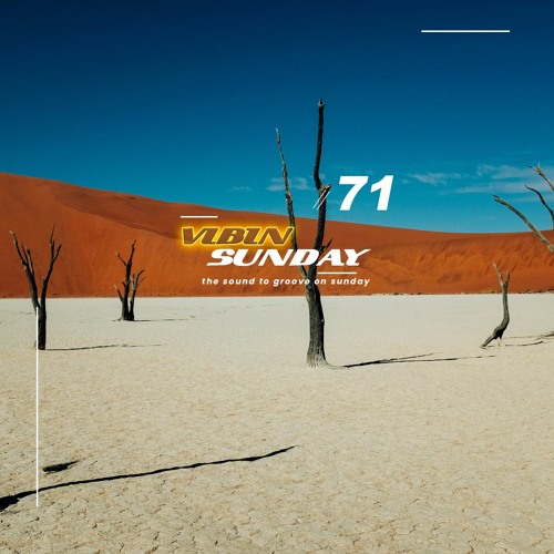 VIBIN SUNDAY 71