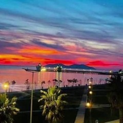@TRAD_ZONE Nocturnal @TheBeach (Adriatic Sea 1.0 - 2024)