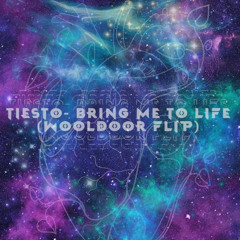 Tiësto - Bring Me To Life (Wooldoor Flip)