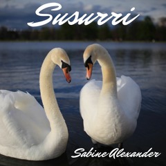 Susurri