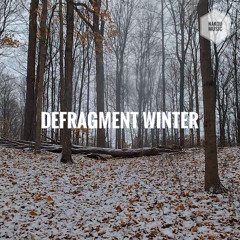 Defragment Winter