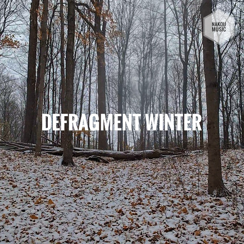 Defragment Winter