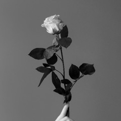 UNSAID