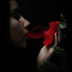 Taste - Afro Latin Mix