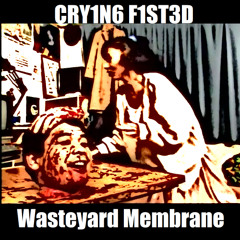 CRY1N6 F1ST3D - Raping Your Poser Attitude 15 Times