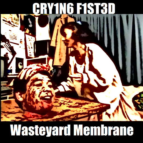 CRY1N6 F1ST3D - Raping Your Poser Attitude 15 Times