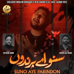 Suno Aye Parindo  --  Bibi Sakina (s.a) Noha  --  Safdar Kaleem  --  2022