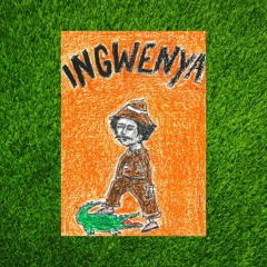 INGWENYA FREESTYLE(ft UMenzii Sphuthukiz)