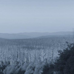 Cerebral Bubble bath [Aethermelt]