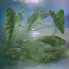 Water - Henry Earnest (remix)