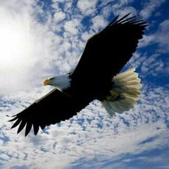 چەنگیز سیگارچی_پیرە هەڵۆ