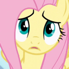 MLP