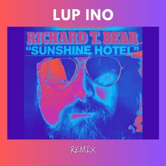 Sunshine Hotel (Remix)