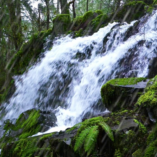 Waterfall & Rain Sounds In Peaceful Forest (75 Minutes)
