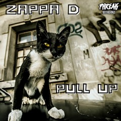 Zappa D - Selecta (Original Mix)