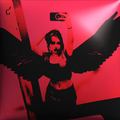 dark wings