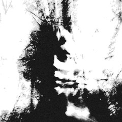 vulnus