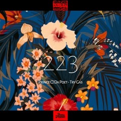 223 (feat. TryGas)