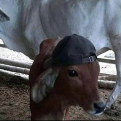 Chase & Status  Boiler Room  London for Discord