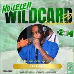 DJ CADZ +234: NO LELE WILDCARD MIX