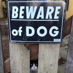 Drill Flip Julian Disstrack Number 3