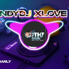 DJ THY - ANDYDJ x LOVE (BERAK MIX)