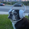 Riverdale June Headphone Phase DJ mix artwork - Electronic music tracklist cover image