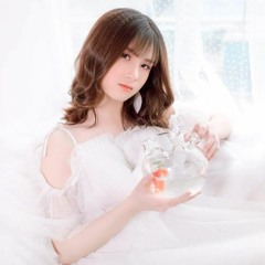 Phương Mai - Ngôi Nhà Hoa Hồng - Zenky Remix
