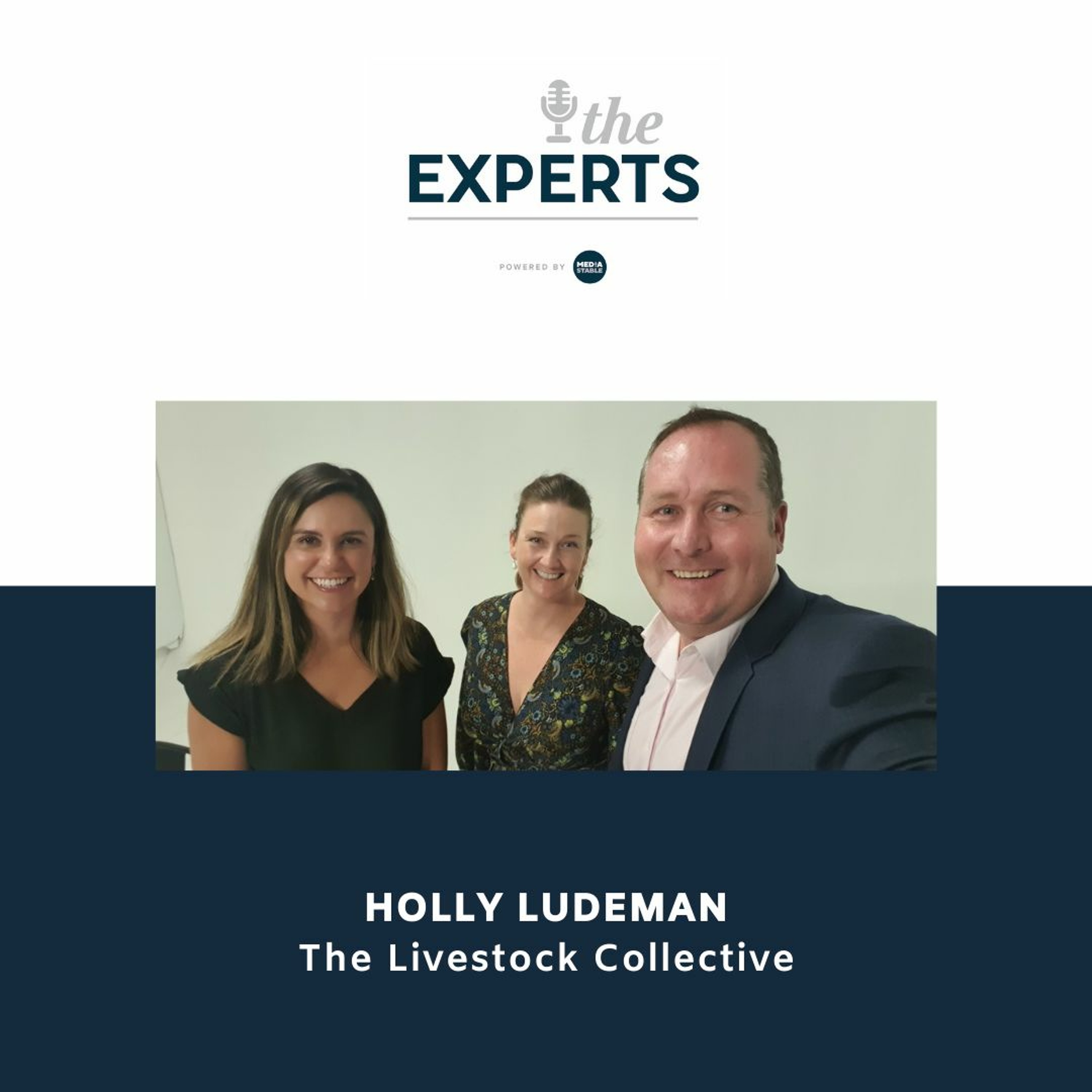 The Experts powered by Media Stable