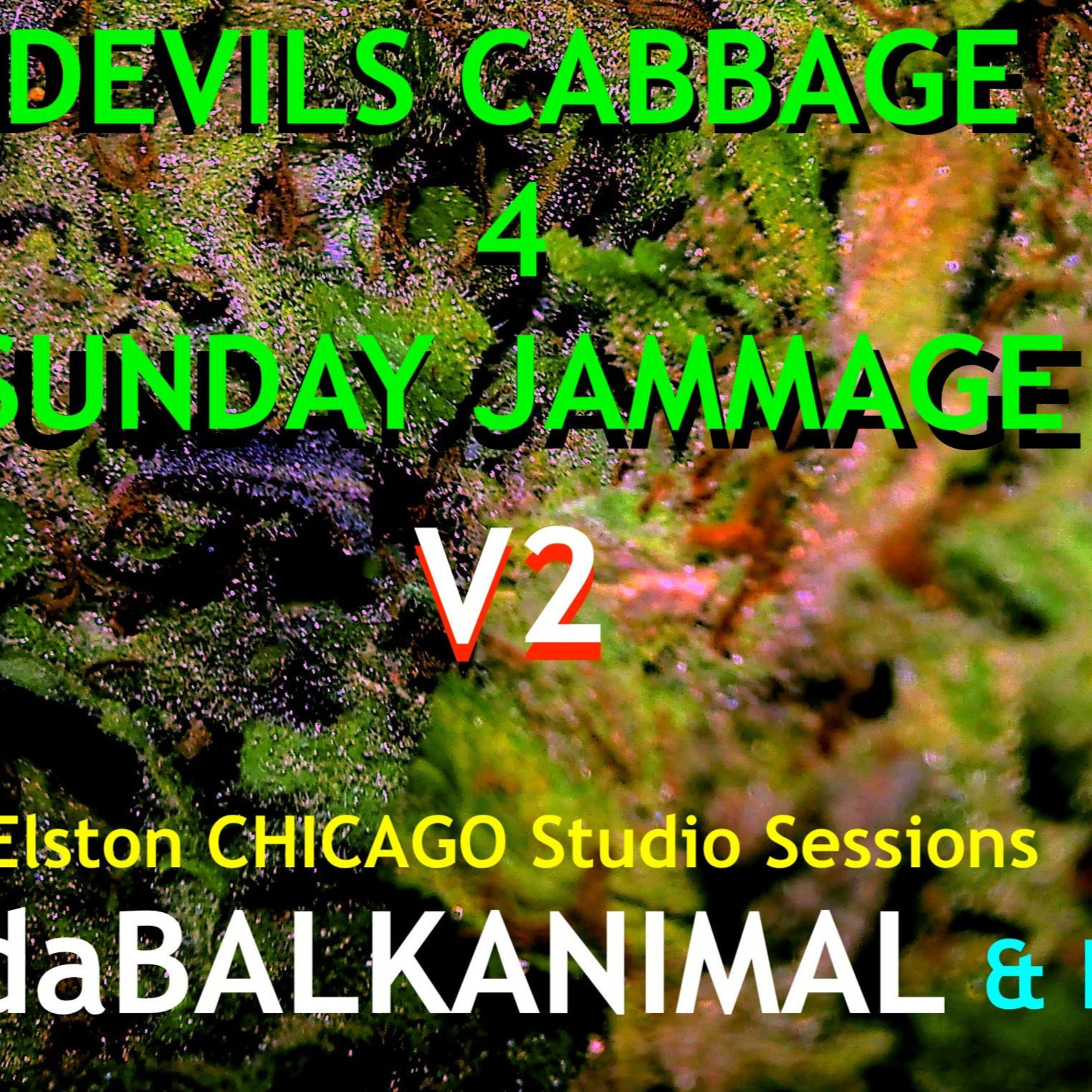 El Diablo Cabbage 4 Our Jammage - Skender Makota DaBalkanimal & Friends Elston Sessions Chicago V2