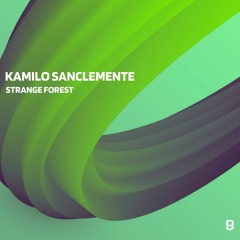 PREMIERE: Kamilo Sanclemente - Strange Forest [Deepwibe Underground]