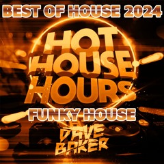 [Episode 246] Best of 2024: Funky House